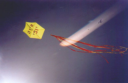 User-provided image